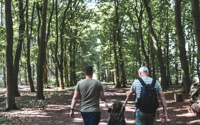 Witte Berken Natuurhotel