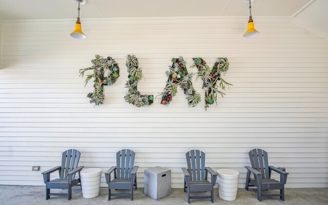 Good Vibes At Sunflower Beach