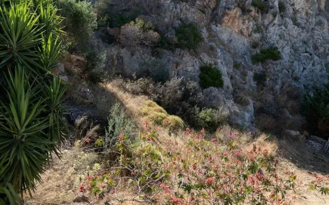 SeaView Flat Near the Beach