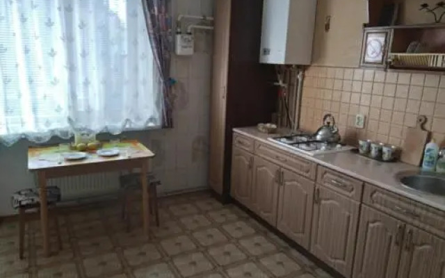 Apartment on Peremohy Street 8