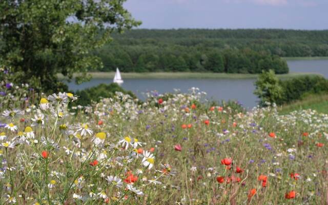 Kamienny Ogród Holiday Park