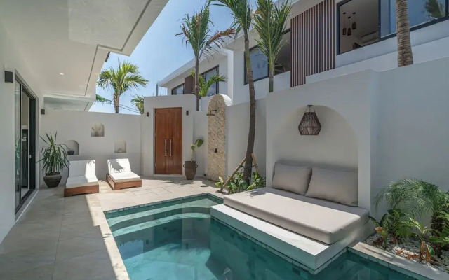 Nova Oasis 3