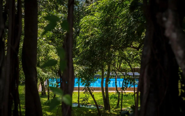 The Postcard Velha