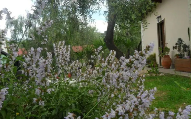 Borgo Laurenzella