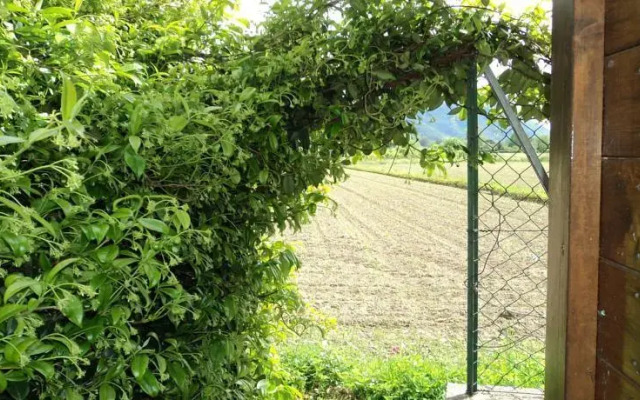 Casa Vacanze Il Gelsomino