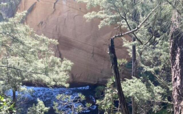 le p'ti corail de vincendo