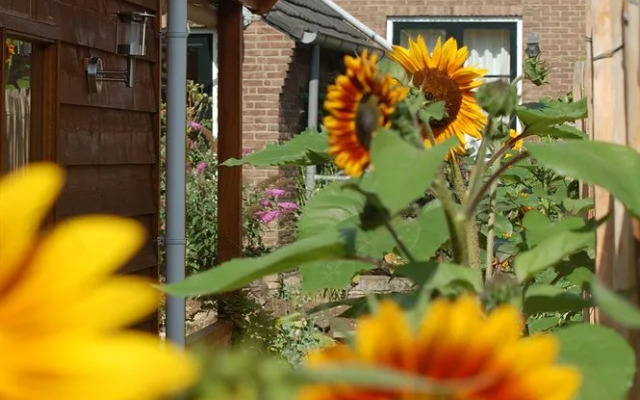 Bed & Breakfast Slaap