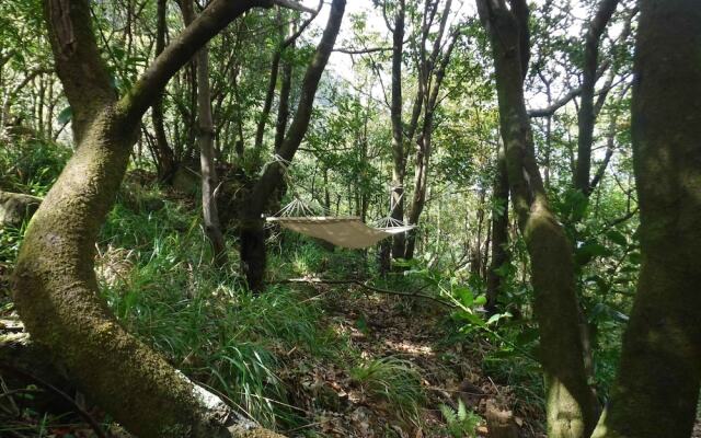 Nature inn Madeira - Glamping