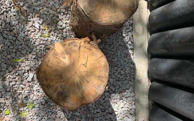 Wina Boshuisje Veluwe