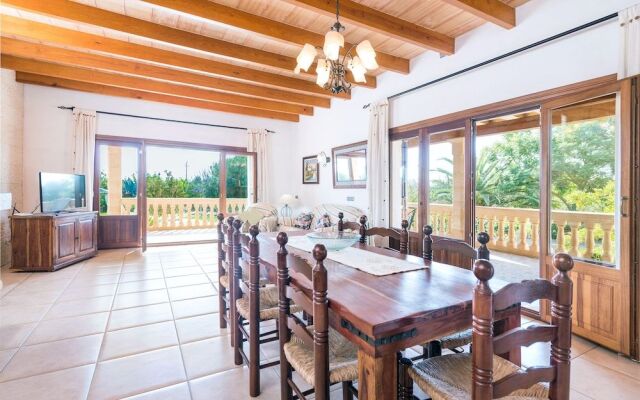 Can Berguins in Buger