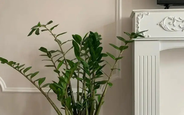 Апартаменты на улице Валентина Мосина  4