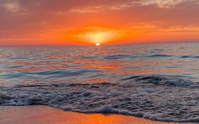 Bobo Home 2 (Adults Only)