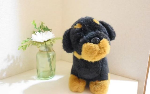 Heart Of Shinsaibashi Apartment