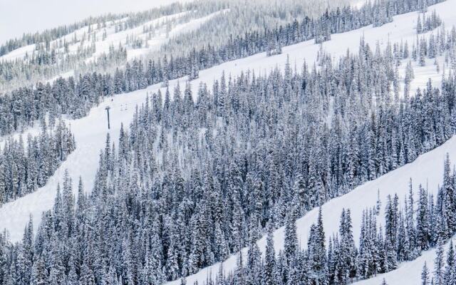 The Innsbruck Aspen by Frias