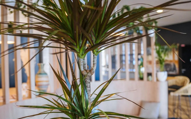 ibis budget Rouen Centre Rive Gauche