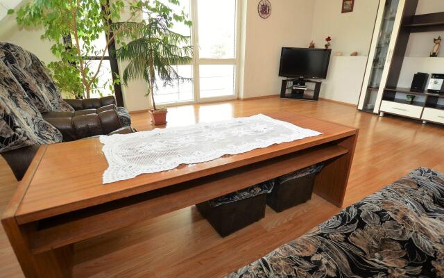 Villa in Bechyne Near Town Center
