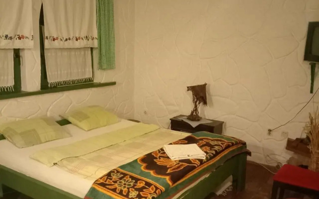Hotel Aqua Etno Dvorac