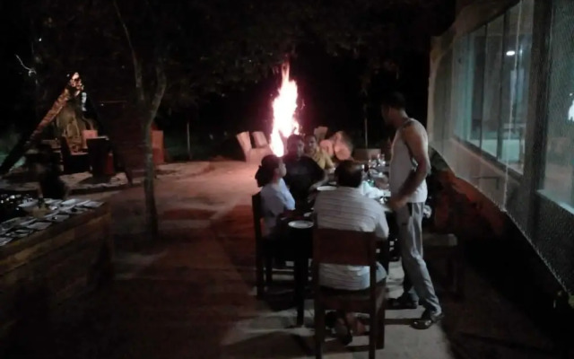 Wilpattu Tree House Hotel