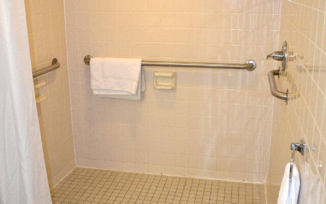 Commodore on the Beach