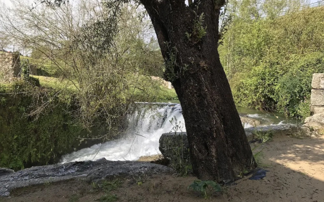 Casa de Riba'Dão - Arcos de Valdevez