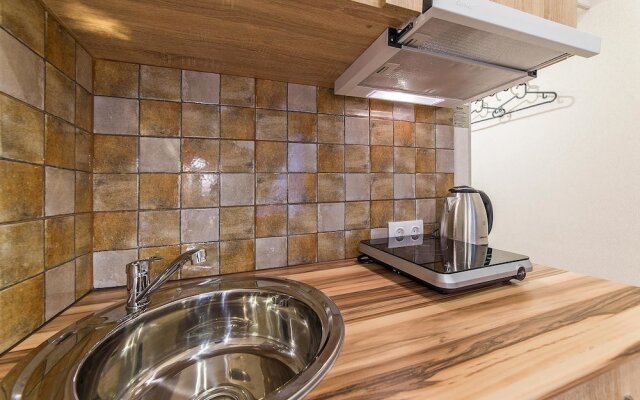 Апартаменты на Большом пр. П.С.