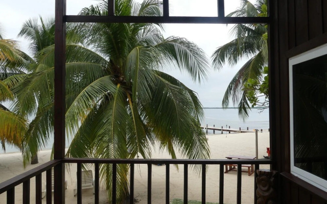 Green Parrot Beach Houses and Resort