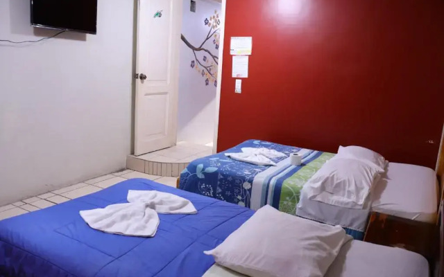 Hostal Los Andes