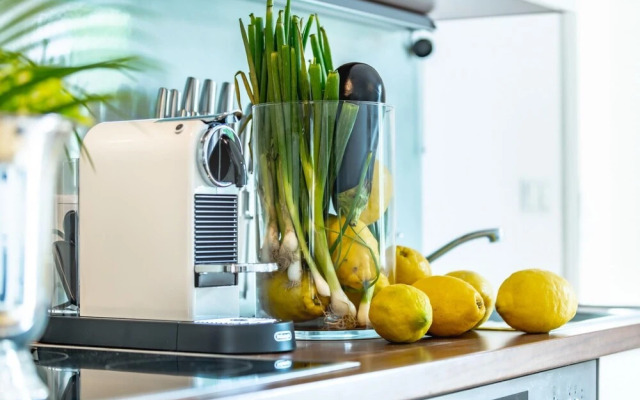 Apartment With Terrace and King Bed in Krems City