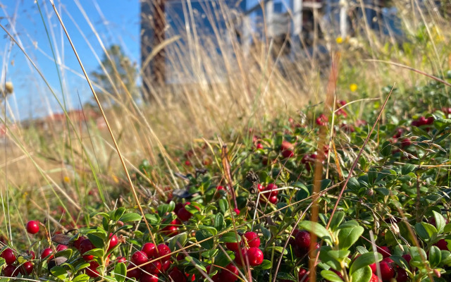 Luotsihotelli - Arctic Lighthouse Hotel