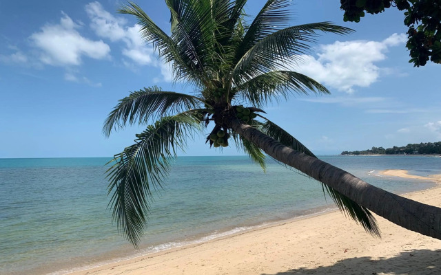 Sand Sea Beach Resort