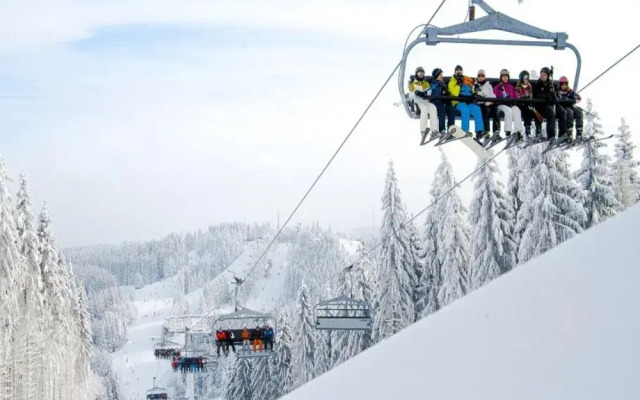 Apartment in Niedersfeld Near the ski Slopes