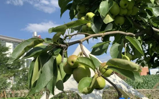 Yishan Banye Homestay (Longqi Wharf Branch)