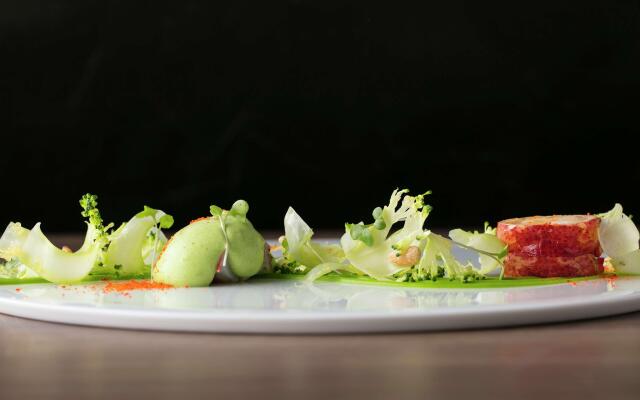 Kyukaruizawa Kikyo, Curio Collection by Hilton