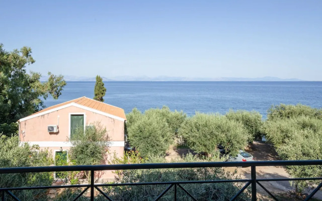 Ionian Grand by Checkin