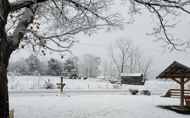 Country Aire Bed & Breakfast