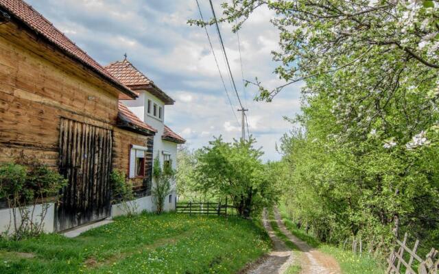 Casa Bunicii - Bran Sohodol