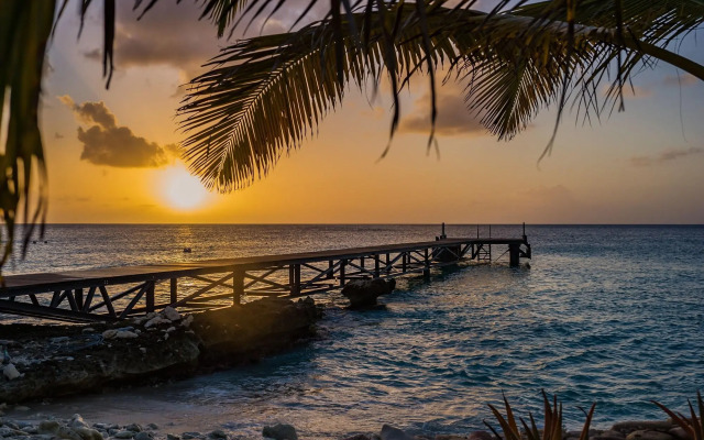 Delfins Beach Resort Bonaire, Tapestry Collection by Hilton