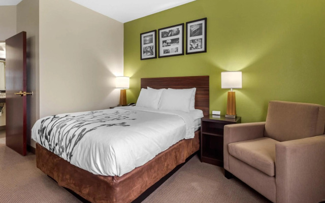 Sleep Inn & Suites Allendale
