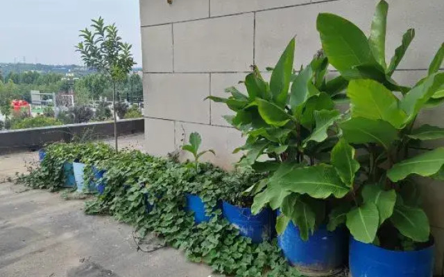 Ruiyu Guesthouse (Luoyang Longmen High-speed Railway Station)