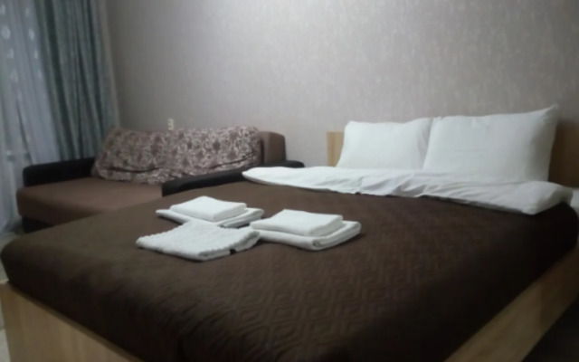 A network of guest apartments on Lenin Avenue 31
