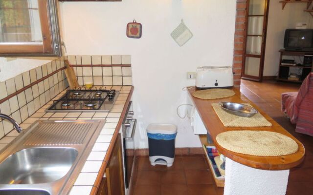 House Ulivo Montescudaio