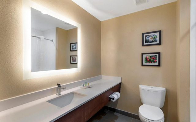 Comfort Suites Locust Grove Atlanta South