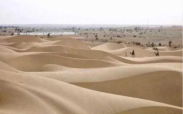 Raj Resort