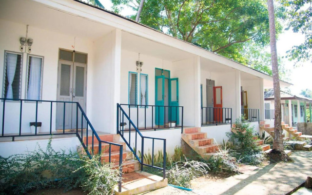 Sleepy Owl Hostel