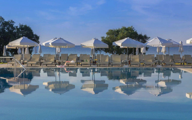 Domes Aulus Zante, Autograph Collection