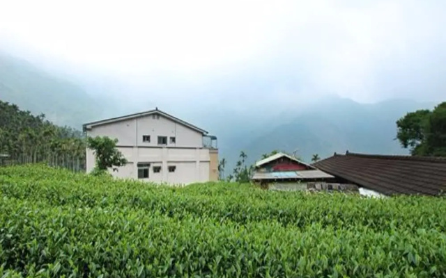 Deren Tea Garden B&B