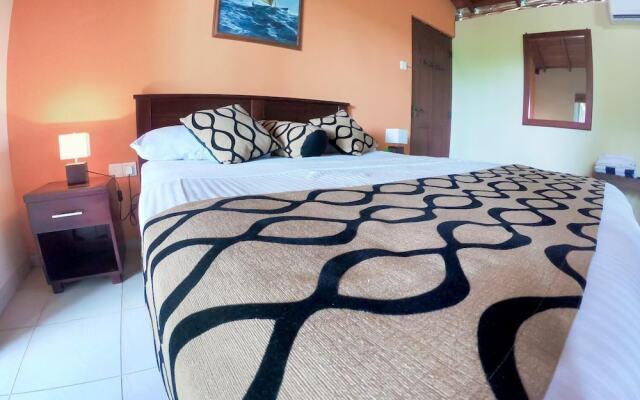 Leather Back Beach Villa