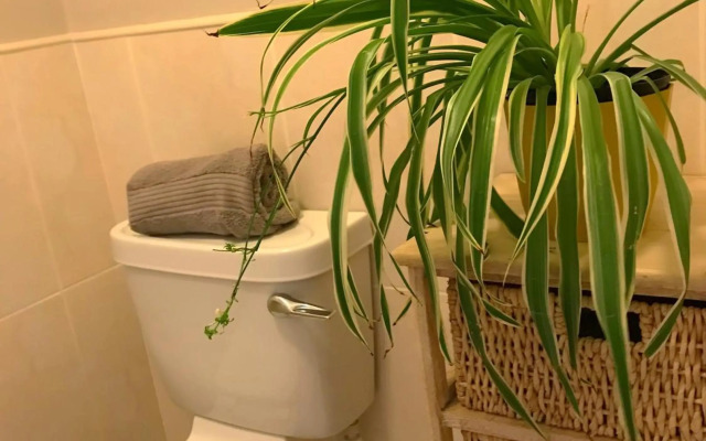 Immaculate home in central Westport