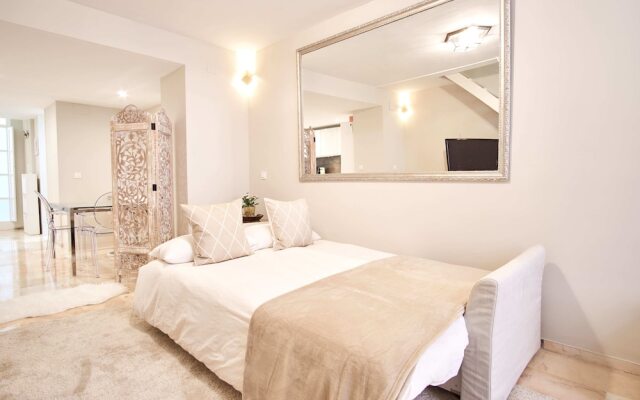 Duplex Palacio Siglo XIX