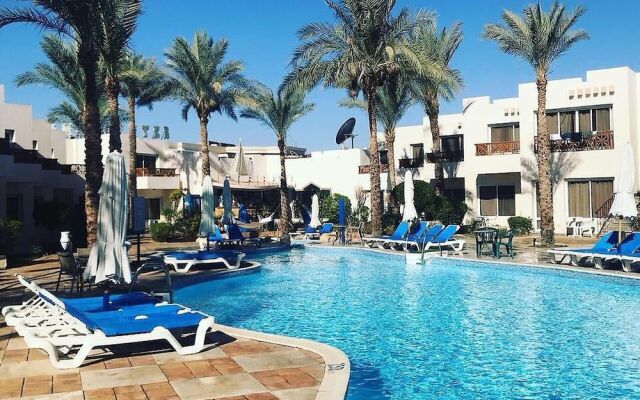 Magic Stay at Le Mirage Hotel